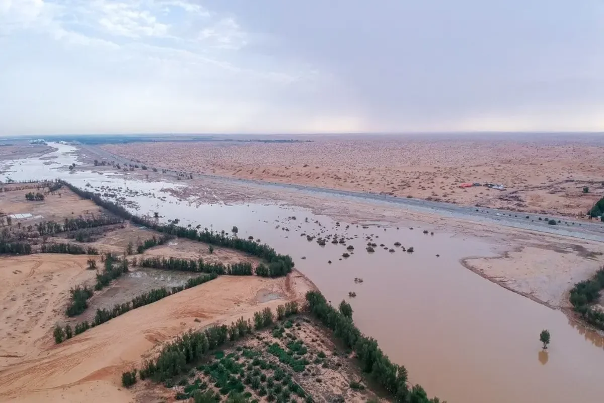 وادى الرمة