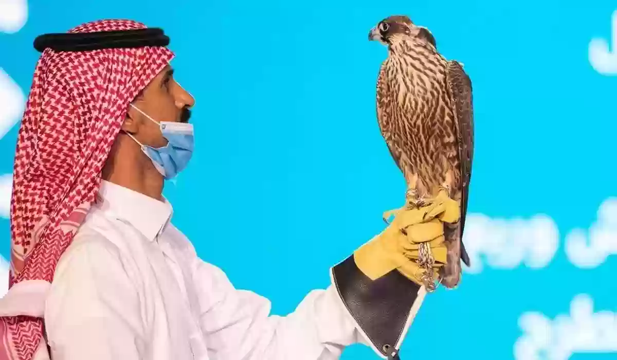 برابط مباشر التسجيل في نادي الصقور السعودي