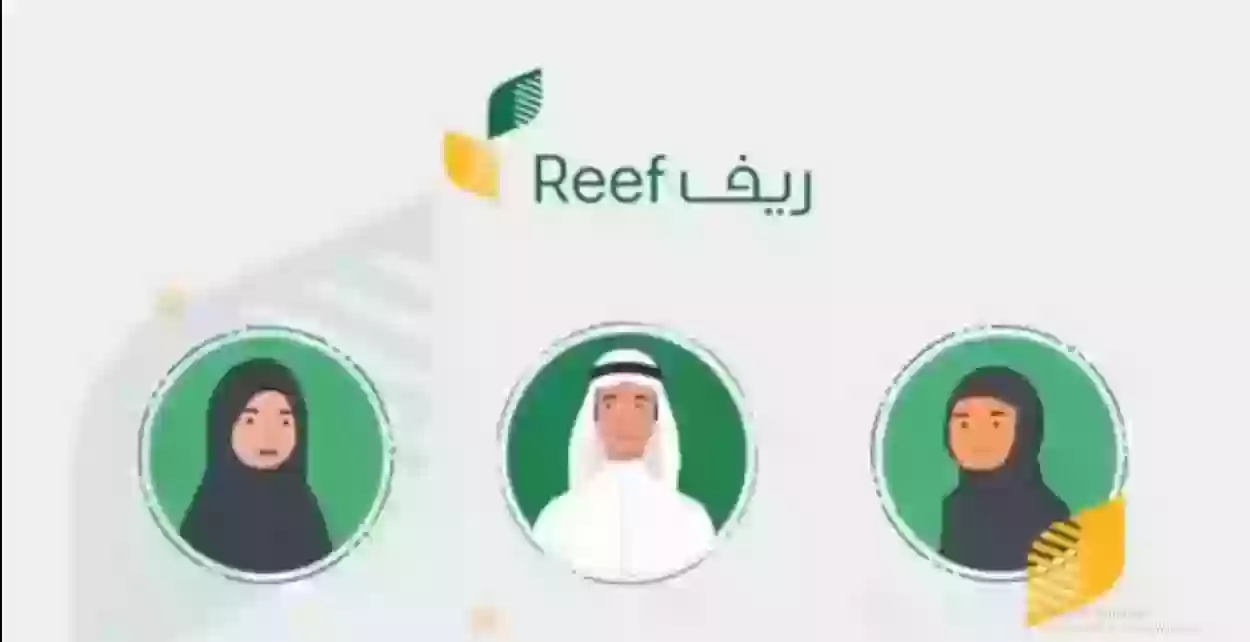 التواصل مع برنامج دعم ريف