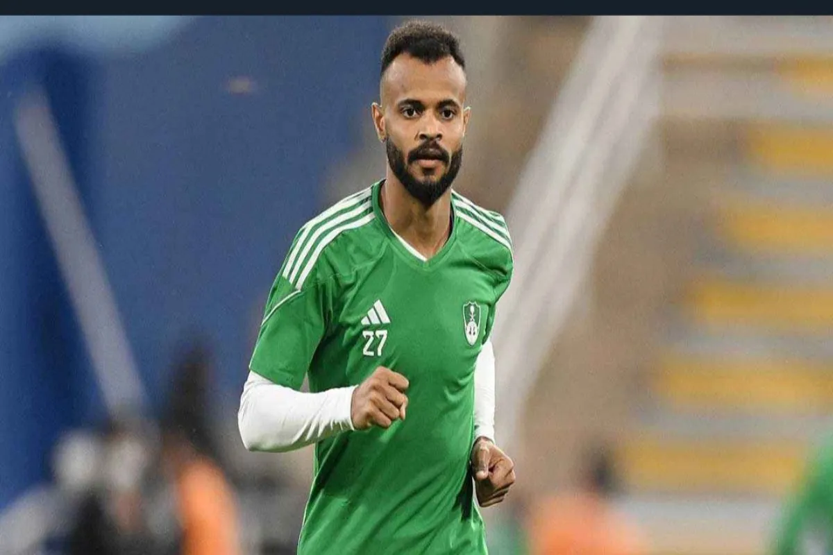 علي مجرشي 