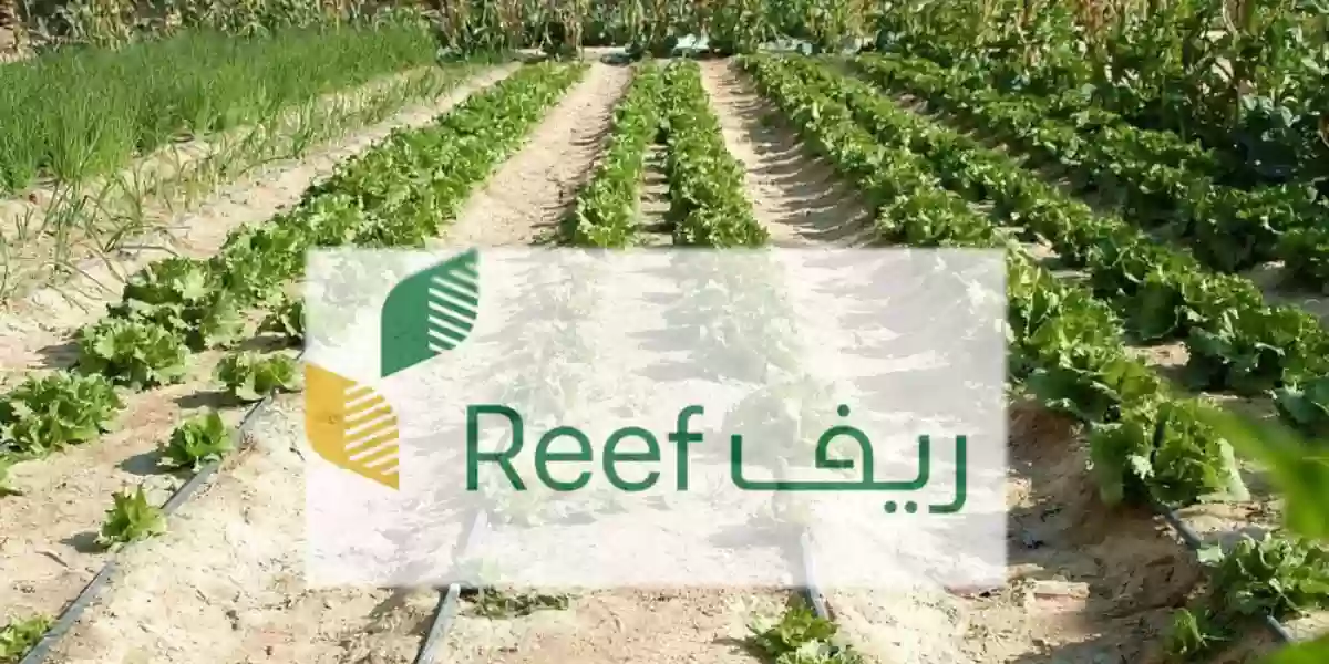 متى ينزل دعم ريف بعد قبول الطلب 1445