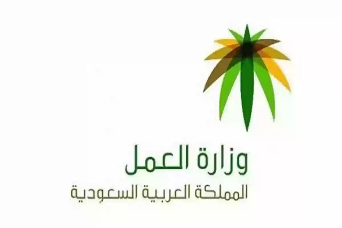 العمل السعودية تكشف خطوات الكشف عن نطاق مؤسسة وهذا رابط الخدمة