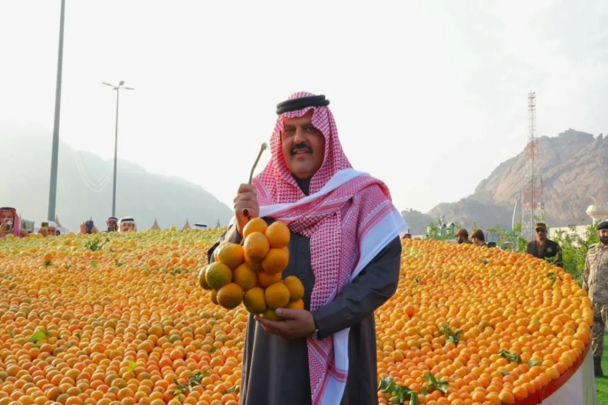 صورة معبرة للبرتقال 